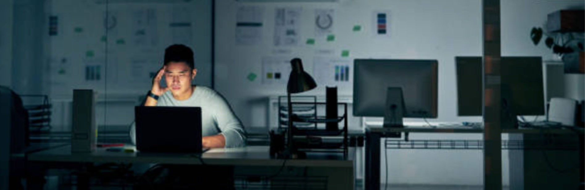 NAELA News & Journal